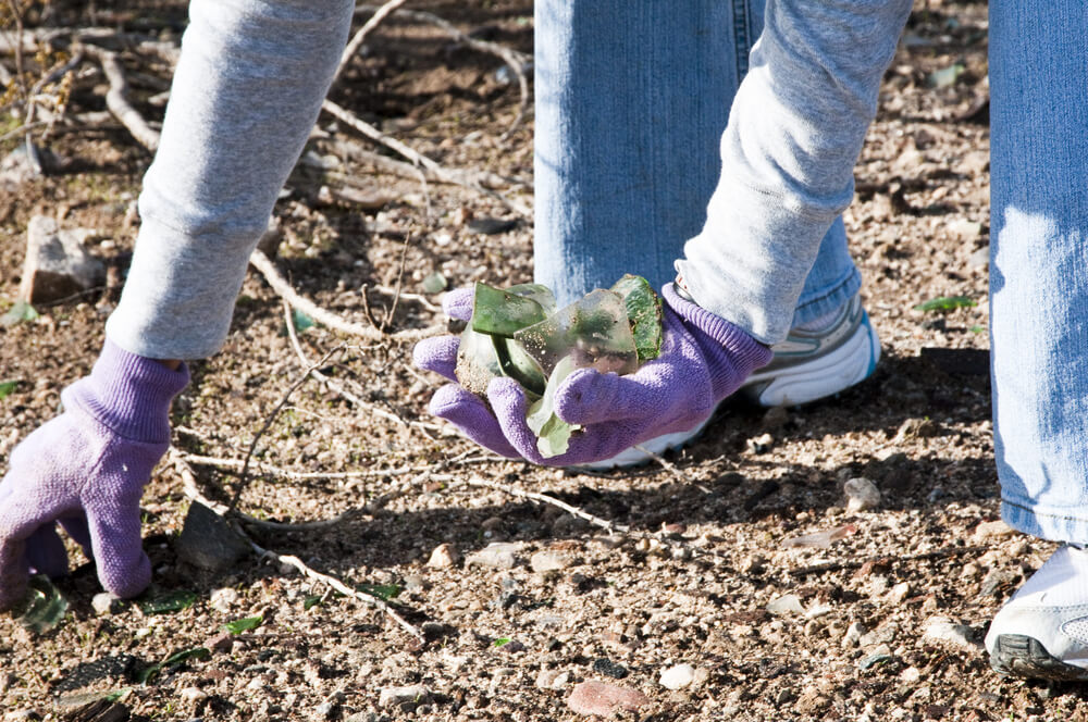 Second Saturday Shoreline Spruce-Up