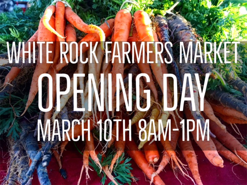 white rock farmers market