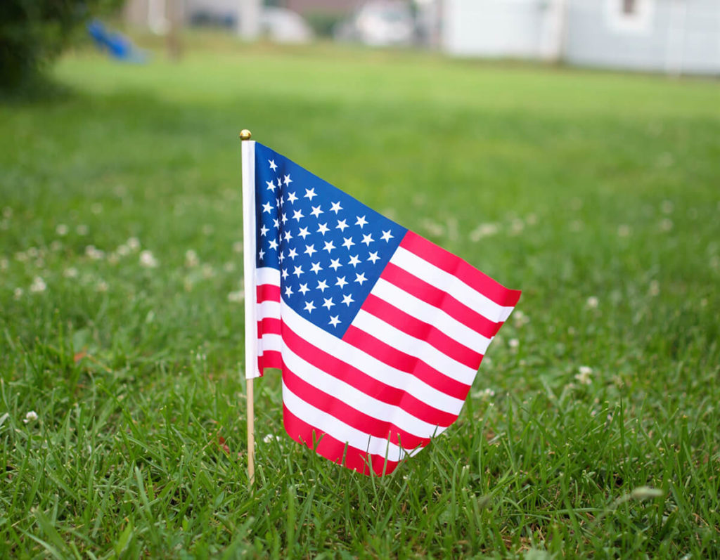 Little Forest 4th of July Parade