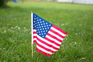 Little Forest 4th of July Parade